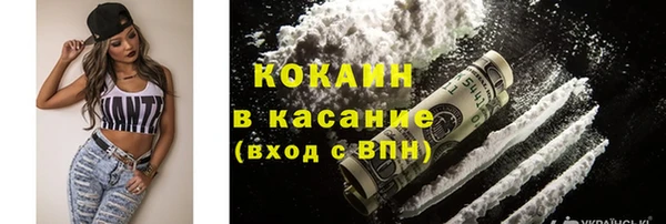 сатива Михайловка