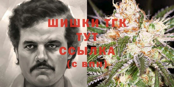 сатива Михайловка