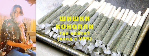 сатива Михайловка