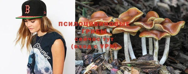 сатива Михайловка